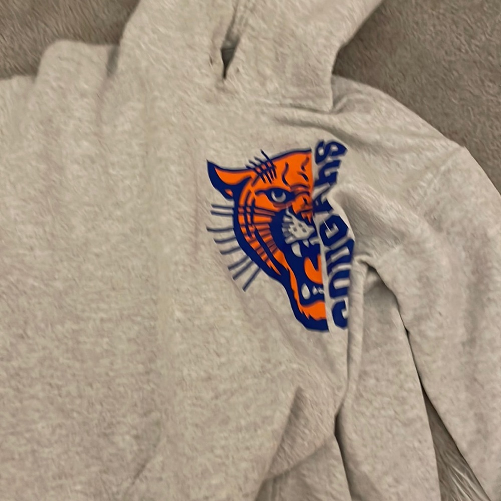 Grey sweatshirt